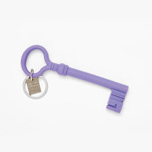 Load image into Gallery viewer, Key Keychain