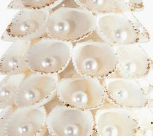 Load image into Gallery viewer, Clamrose Shell Cone Tree w/Pearls (White/Gold): 8&quot;