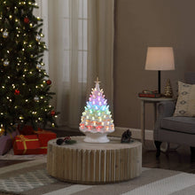 Load image into Gallery viewer, 24" Nostalgic Ceramic Tree With RGB Lightshow