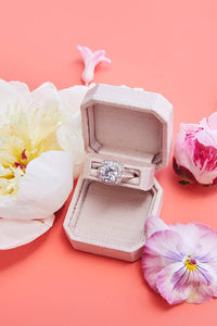 The Livy Proposal