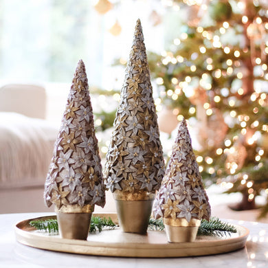 Stargazer Cone Tree (Dark Champagne): 13