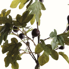 Load image into Gallery viewer, Fig Tree With Figs Potted Drop-In 34"