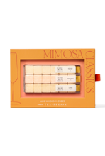 Load image into Gallery viewer, Passport to: Mimosa Kit
