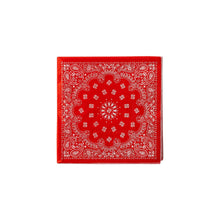 Load image into Gallery viewer, PLTS368T-MME - Bandana Cocktail Napkin Set