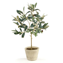 Load image into Gallery viewer, Olive Tree With Fruit In Pot 19.5"