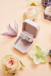 The Livy Proposal