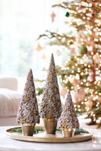 Load image into Gallery viewer, Stargazer Cone Tree (Dark Champagne): 7&quot;