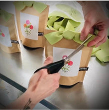 Load image into Gallery viewer, Garden in a Bag | Mom | Mother&#39;s Day | Best Seller