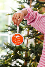 Load image into Gallery viewer, Needlepoint Ornament - Fly Economy