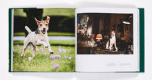 Load image into Gallery viewer, Country Life's Book Of Dogs