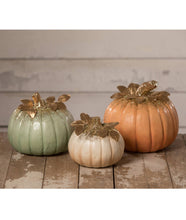 Load image into Gallery viewer, Elegant Orange Pumpkin