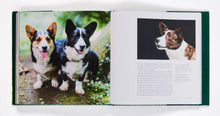 Load image into Gallery viewer, Country Life's Book Of Dogs