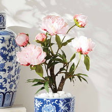Load image into Gallery viewer, Peony Potted Drop-In 18" - Light Pink