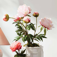 Load image into Gallery viewer, Peony Potted Drop-In 18" - Light Pink