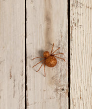 Load image into Gallery viewer, Glittered Spider Orange