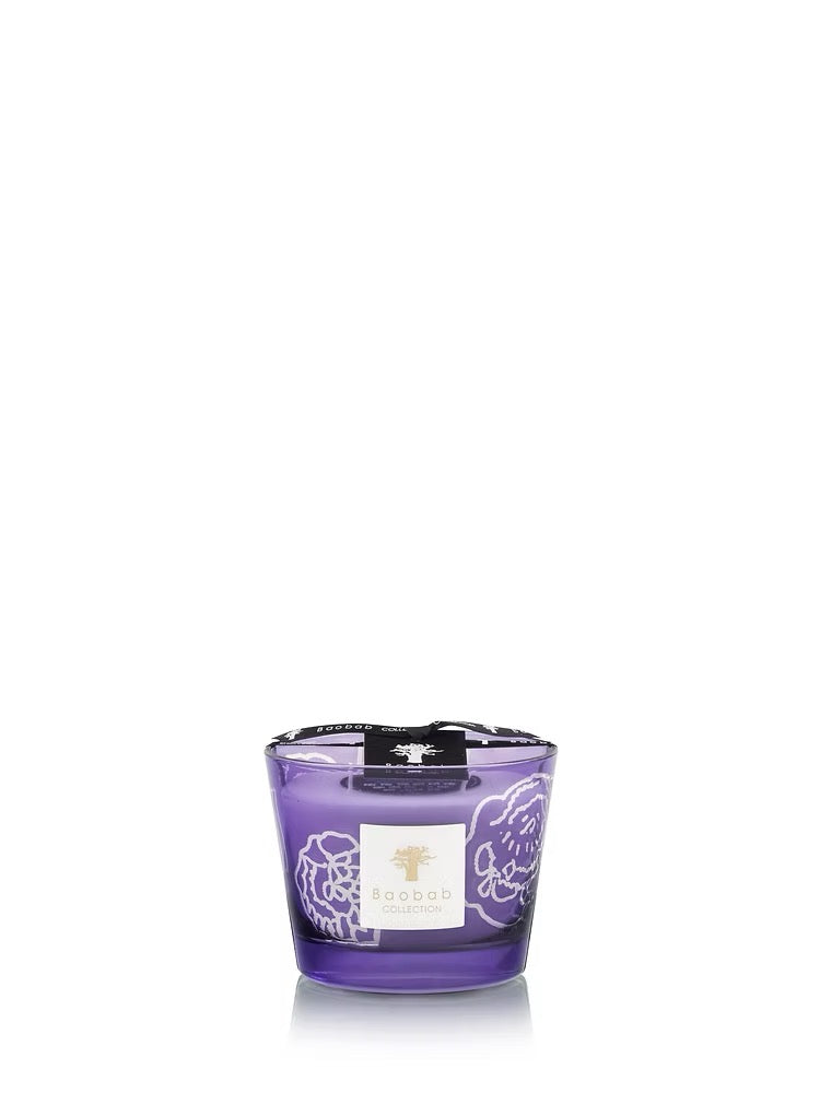 Max 10 Collectible Roses Dark Parma