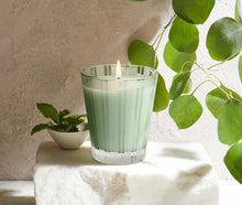 Load image into Gallery viewer, Wild Mint &amp; Eucalyptus Classic Candle