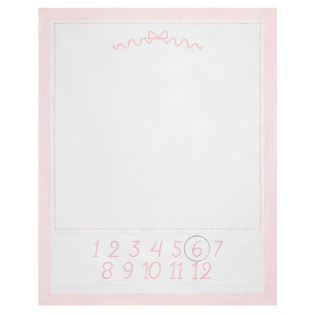 Girl's Milestone Blanket - Girl