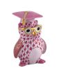 Load image into Gallery viewer, Graduation Owl