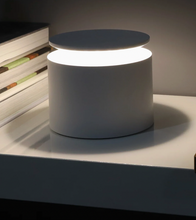 Load image into Gallery viewer, Push Up Pro Light - White