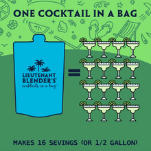 Load image into Gallery viewer, Margarita in a Bag