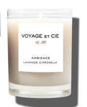 Load image into Gallery viewer, French Cut Vase - Tapered Candle