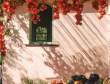 Load image into Gallery viewer, Roma Heirloom Tomato Dish Soap