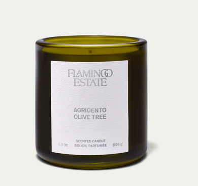 Olive Tree Candle