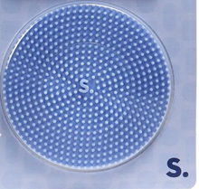 Load image into Gallery viewer, Slabs Sensory Silicone Sticker