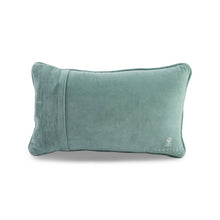 Load image into Gallery viewer, Fly Coach Needlepoint Pillow