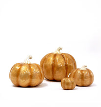 Load image into Gallery viewer, Capiz Pumpkin (Gold): 8"