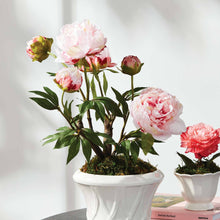 Load image into Gallery viewer, Peony Potted Drop-In 18" - Light Pink