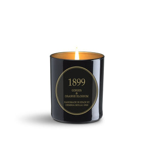 Ginger & Orange Blossom Black & Gold 8 0z/230 gm. Premium Candle