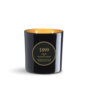Ginger & Orange Blossom Black & Gold 21 oz/600 gm. 3 wick XL Candle