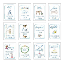 Load image into Gallery viewer, Monthly Milestone Card Set: Platinum