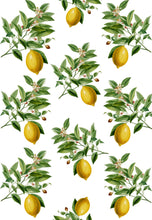 Load image into Gallery viewer, Lemon Gift Wrap – Citrus Lemon Illustrated Wrapping Paper