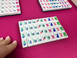 Palm Beach Green Mahjong Travel Set