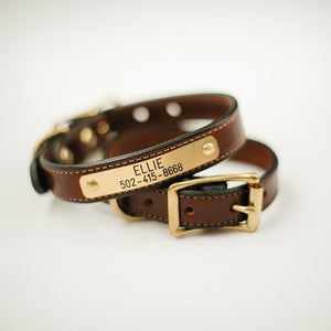 Brown Bridle Nameplate Dog Collar