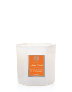 Orange Blossom, Lilac & Jasmine 9oz Candle