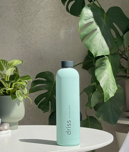 driss | insulated stainless steel bottle