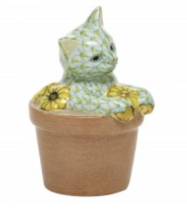 Flower Pot Kitty